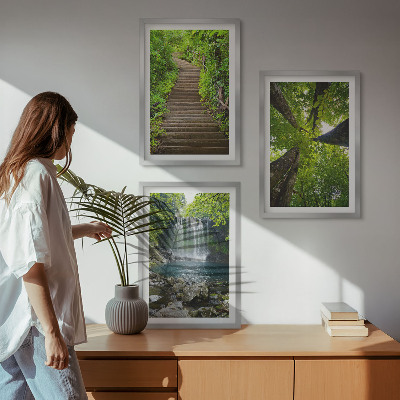 Composizione di quadri Sentiero forestale cascata vegetazione