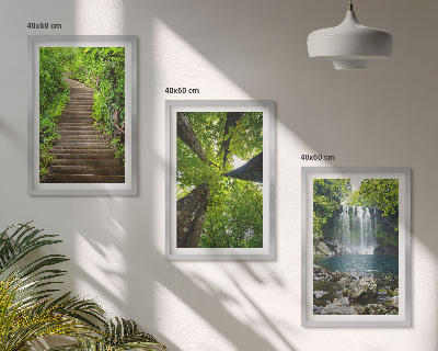 Composizione di quadri Sentiero forestale cascata vegetazione