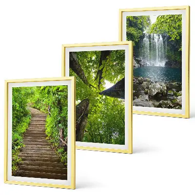 Composizione di quadri con sentiero forestale, cascata e vegetazione
