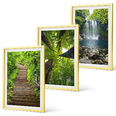 Composizione di quadri Sentiero forestale cascata vegetazione