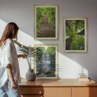 Composizione di quadri Sentiero forestale cascata vegetazione