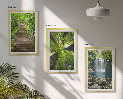 Composizione di quadri Sentiero forestale cascata vegetazione