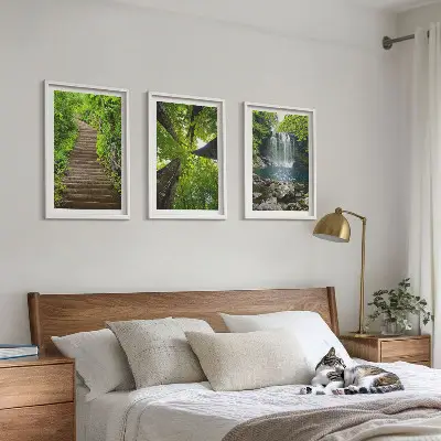 Composizione di quadri con sentiero forestale, cascata e vegetazione