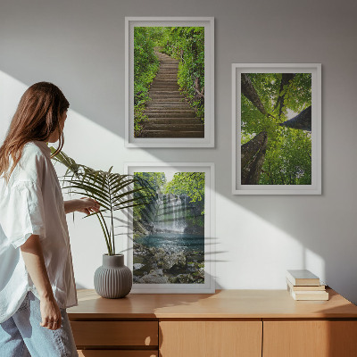Composizione di quadri Sentiero forestale cascata vegetazione