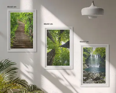 Composizione di quadri con sentiero forestale, cascata e vegetazione