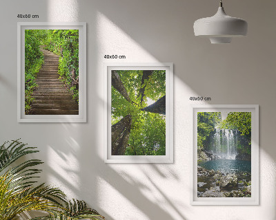 Composizione di quadri Sentiero forestale cascata vegetazione