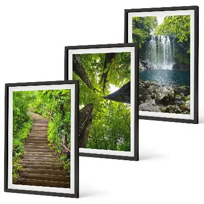 Composizione di quadri con sentiero forestale, cascata e vegetazione