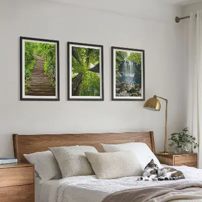Composizione di quadri con sentiero forestale, cascata e vegetazione