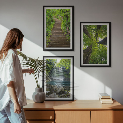 Composizione di quadri Sentiero forestale cascata vegetazione