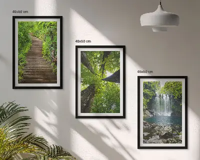 Composizione di quadri con sentiero forestale, cascata e vegetazione