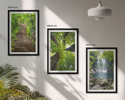 Composizione di quadri Sentiero forestale cascata vegetazione