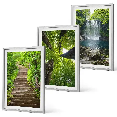 Composizione di quadri con sentiero forestale, cascata e vegetazione