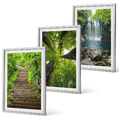 Composizione di quadri Sentiero forestale cascata vegetazione