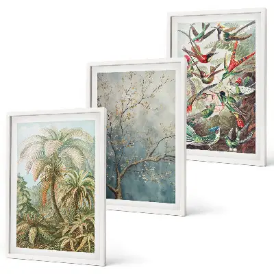 Set di quadri incorniciati con piante tropicali e uccelli della natura