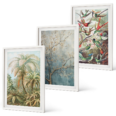 Set di quadri incorniciati Piante tropicali uccelli natura