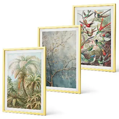 Set di quadri incorniciati con piante tropicali e uccelli della natura