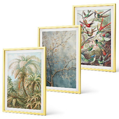 Set di quadri incorniciati Piante tropicali uccelli natura