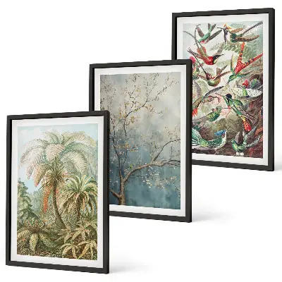 Set di quadri incorniciati con piante tropicali e uccelli della natura