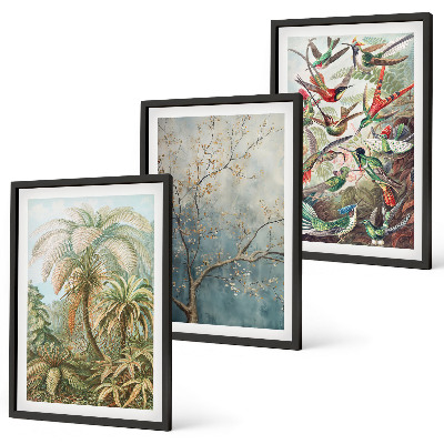 Set di quadri incorniciati Piante tropicali uccelli natura