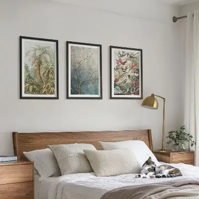 Set di quadri incorniciati con piante tropicali e uccelli della natura