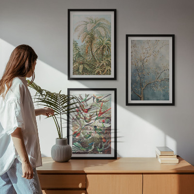 Set di quadri incorniciati Piante tropicali uccelli natura