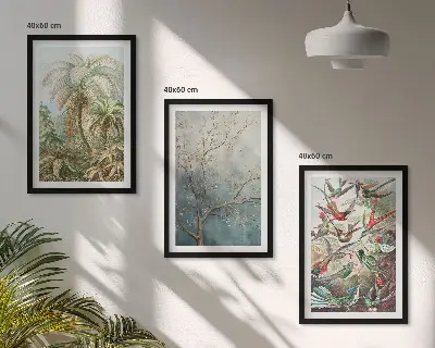 Set di quadri incorniciati con piante tropicali e uccelli della natura