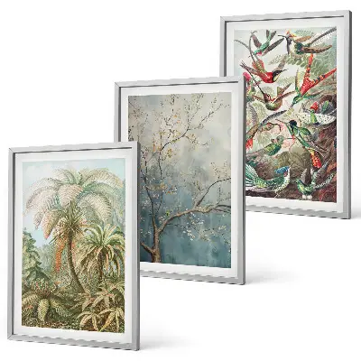 Set di quadri incorniciati con piante tropicali e uccelli della natura