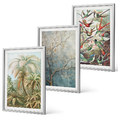 Set di quadri incorniciati Piante tropicali uccelli natura