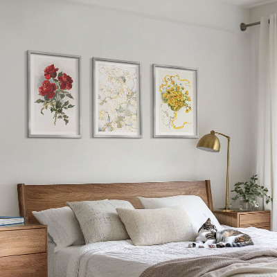 Set di quadri incorniciati Rose rosse bianche forma
