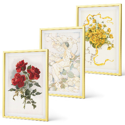 Set di quadri incorniciati Rose rosse bianche forma
