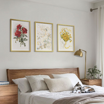 Set di quadri incorniciati Rose rosse bianche forma