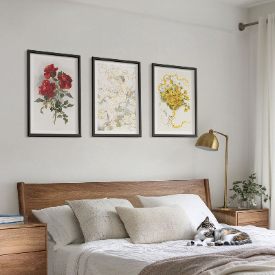 Set di quadri incorniciati Rose rosse bianche forma