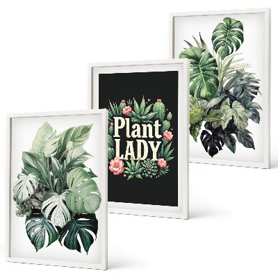 Set di 3 quadri Piante tropicali Signora delle piante