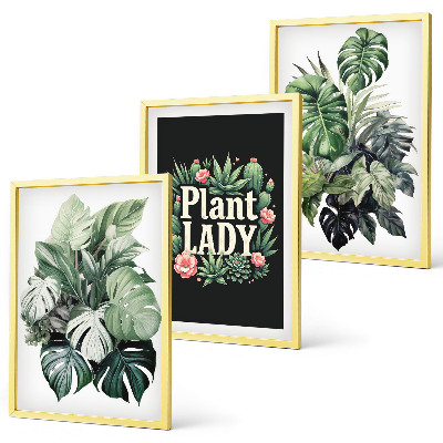 Set di 3 quadri Piante tropicali Signora delle piante