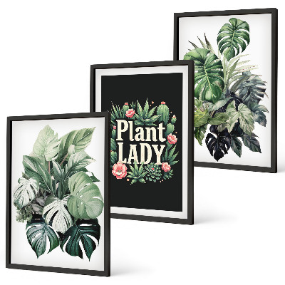Set di 3 quadri Piante tropicali Signora delle piante