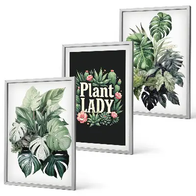 Set di 3 quadri Piante tropicali motivo Signora delle piante