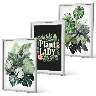 Set di 3 quadri Piante tropicali Signora delle piante