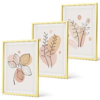 Composizione di quadri con disegni di piante dai colori pastello