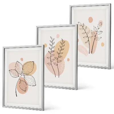 Composizione di quadri con disegni di piante dai colori pastello