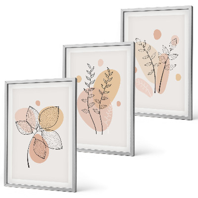 Composizione di quadri Disegni di piante dai colori pastello