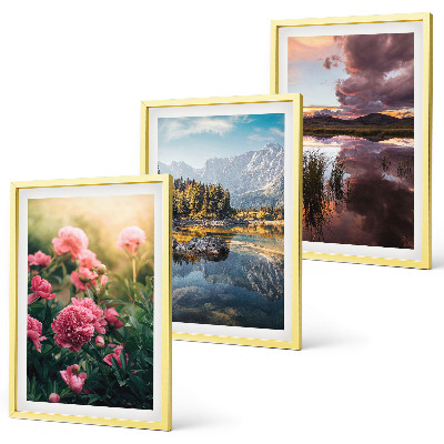 Set di quadri incorniciati Fiori giardino montagne acqua