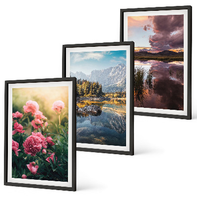 Set di quadri incorniciati Fiori giardino montagne acqua