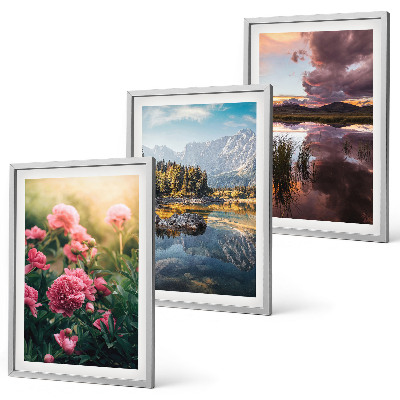 Set di quadri incorniciati Fiori giardino montagne acqua
