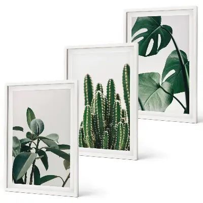 Set di 3 quadri con piante tropicali estetiche