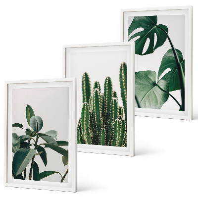 Set di 3 quadri Piante tropicali estetiche