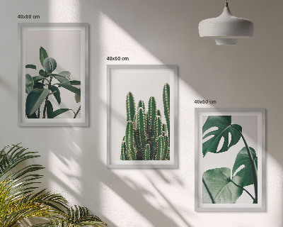 Set di 3 quadri Piante tropicali estetiche