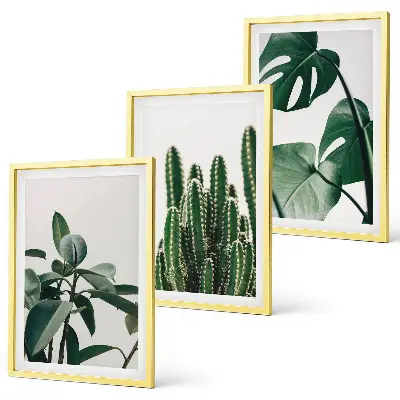 Set di 3 quadri con piante tropicali estetiche