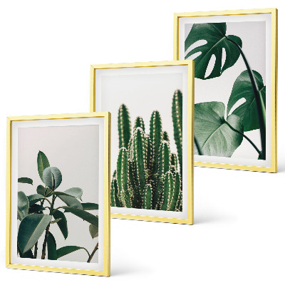 Set di 3 quadri Piante tropicali estetiche