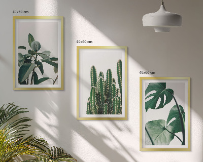 Set di 3 quadri Piante tropicali estetiche