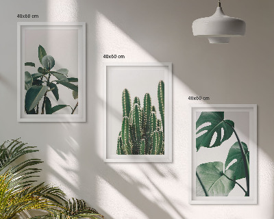 Set di 3 quadri Piante tropicali estetiche